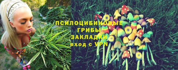 гидропоника Арсеньев