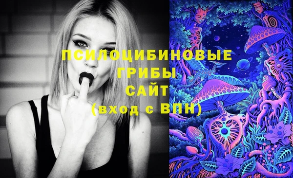 винт Балахна