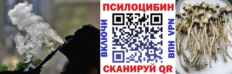 Псилоцибиновые грибы Cubensis  закладка  Новопавловск 